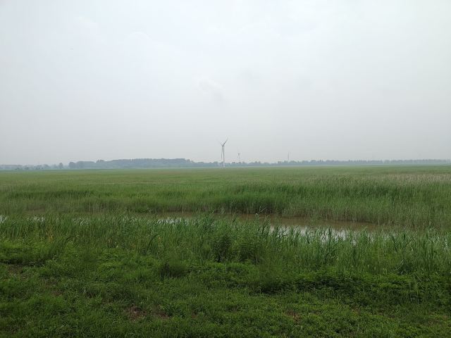 野鸭湖国家湿地公园旅行图片 9