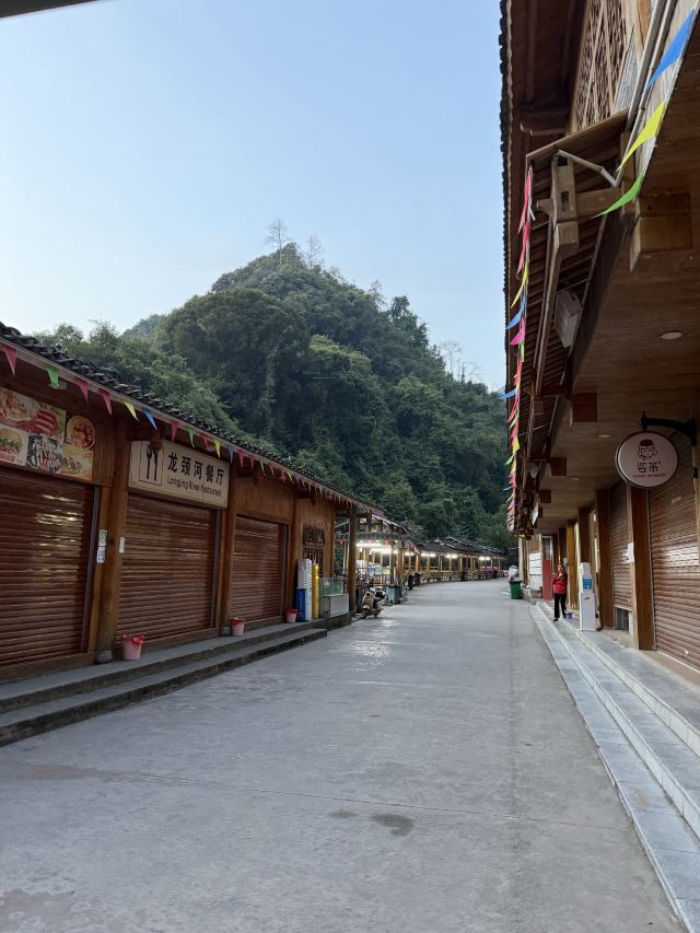 龙颈河景区旅行图片 1