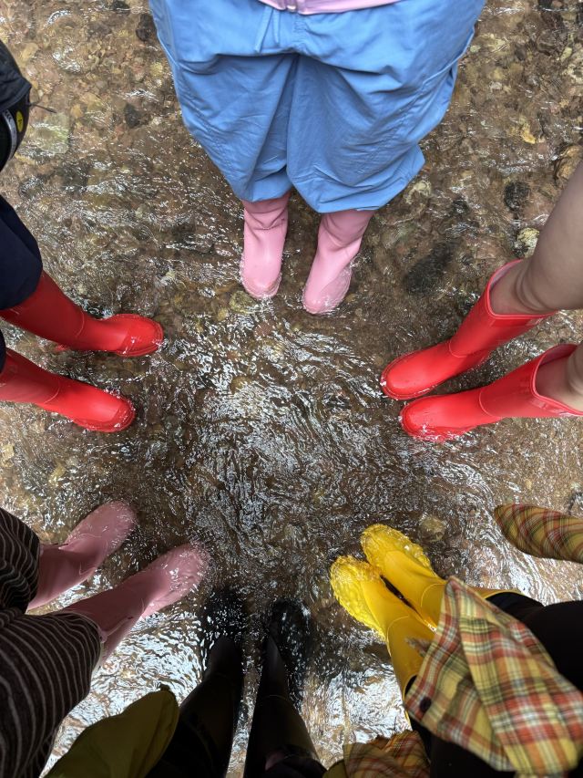 基诺山巴朵村雨林徒步旅行图片 1