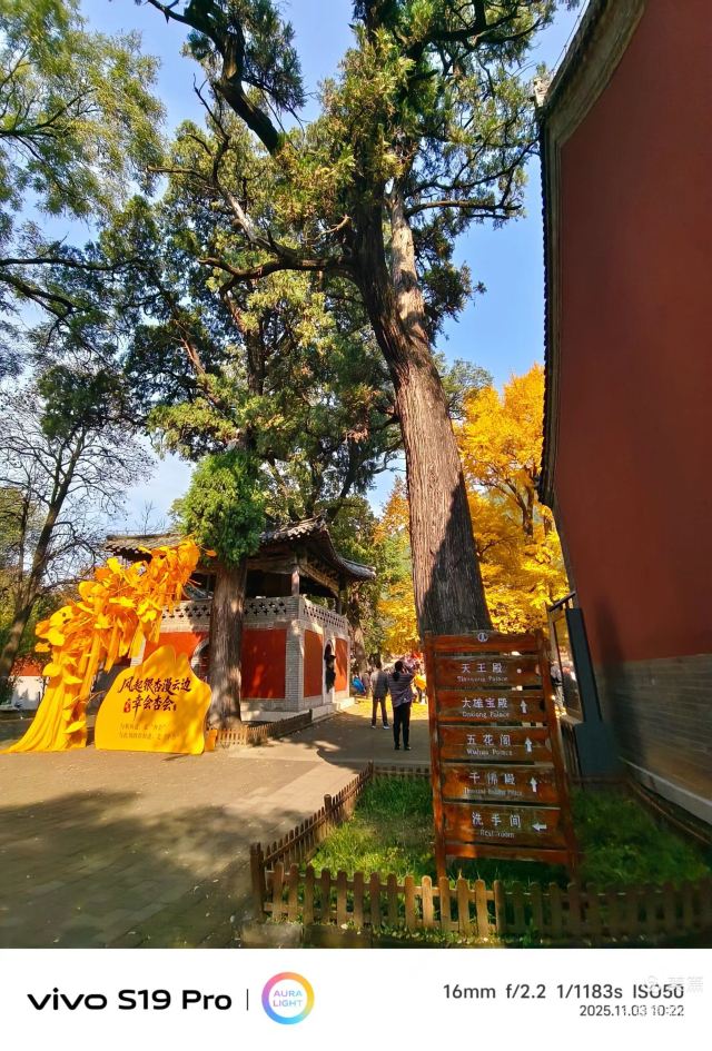 灵岩寺景区旅行图片 5