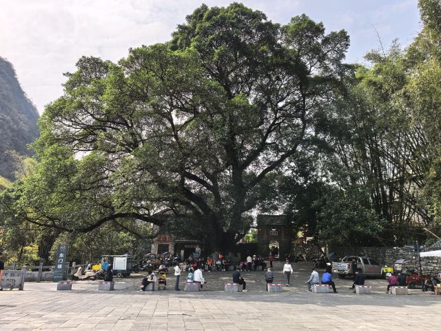 黄姚古镇景区旅行图片 4