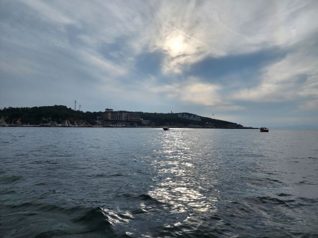 养马岛林间花海旅行图片 1