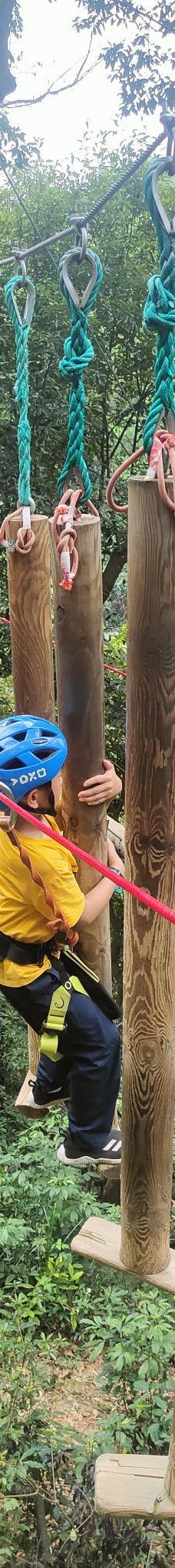 天鹿湖森林公园-广州-一切安好Dan