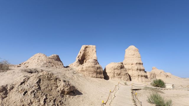 锁阳城遗址旅行图片 6
