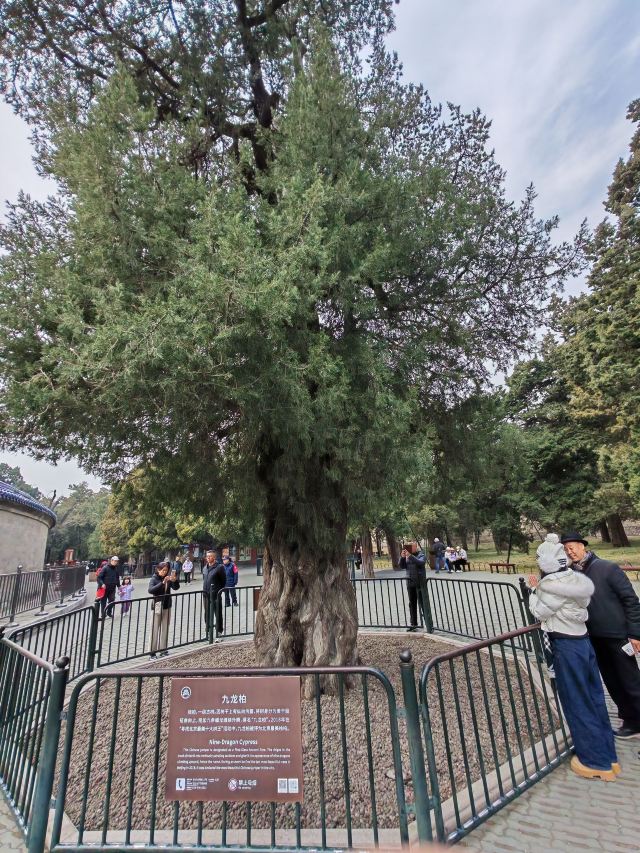 天坛公园旅行图片 5
