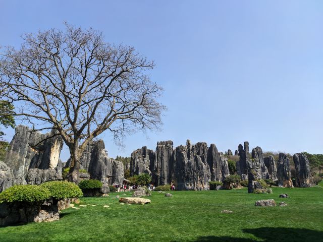 石林风景区旅行图片 4