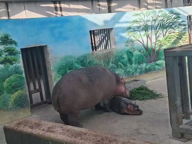 太原动物园旅行图片 2
