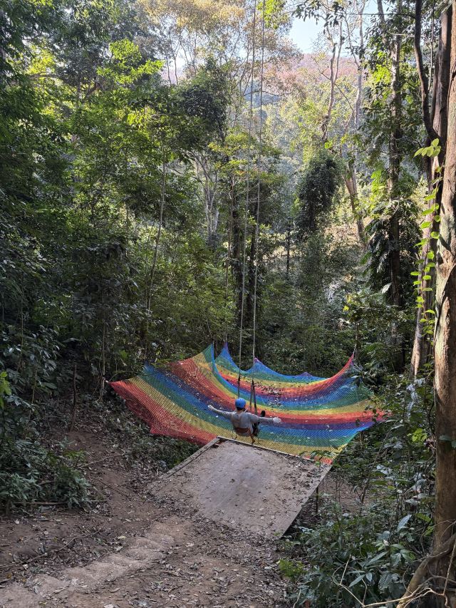 基诺山雨林徒步旅行图片 1