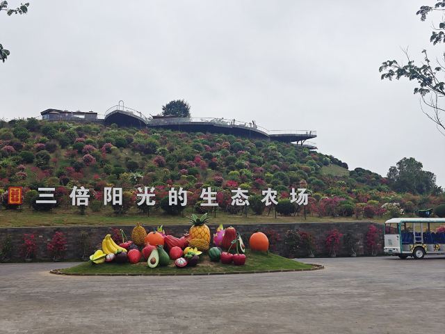 云舍松涛·海南中国村旅行图片 1