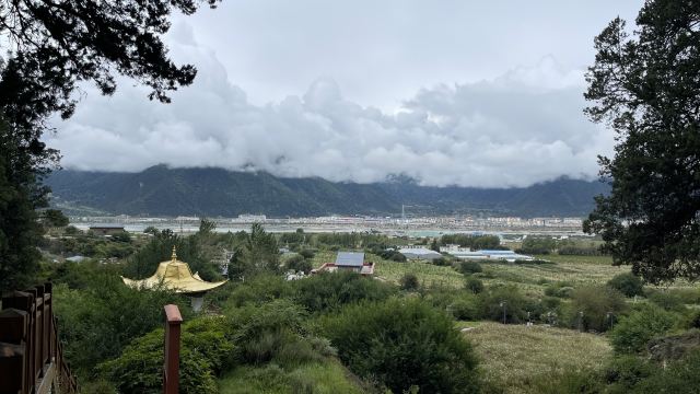 世界柏树王园林风景区旅行图片 2