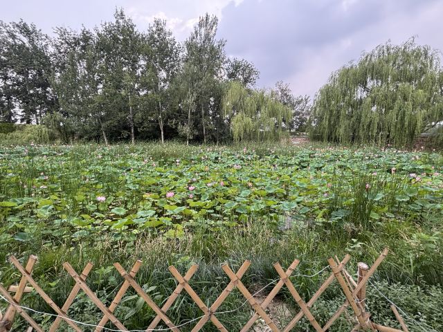 国子监旅行图片 1