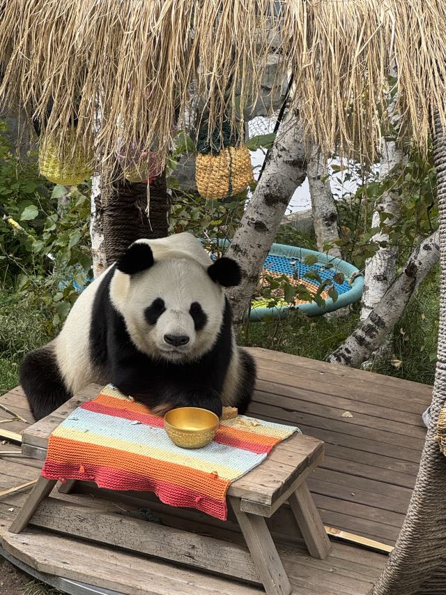 林胡古塞旅行图片 2