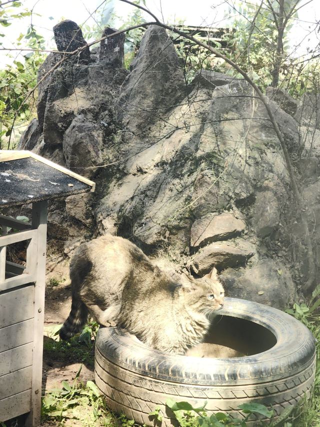 西宁野生动物园旅行图片 4