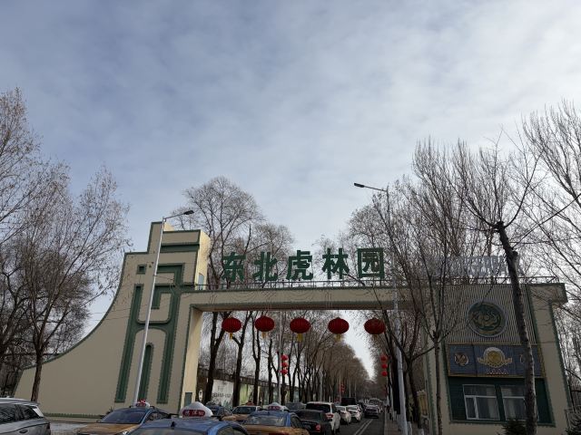 东北虎林园旅行图片 6
