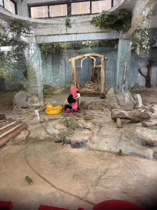 海南热带野生动植物园旅行图片 6