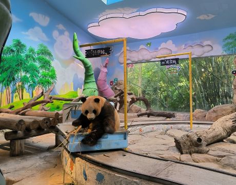 �㽭Ұ������԰��Ʊ