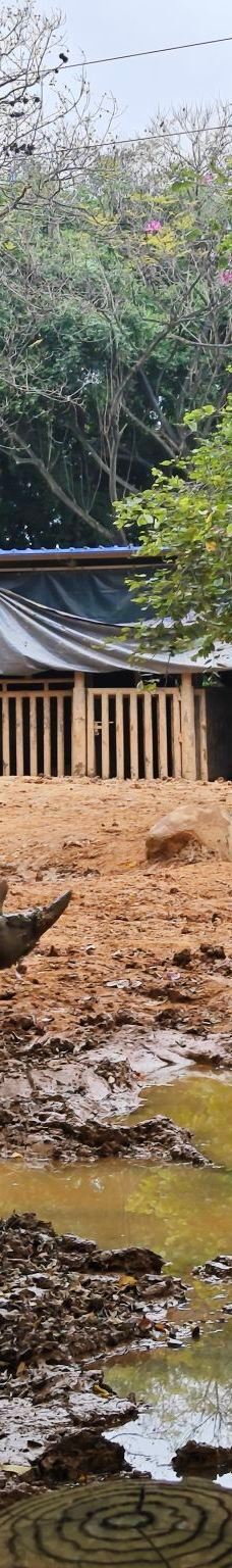 南宁动物园-南宁-愤怒的圈圈熊