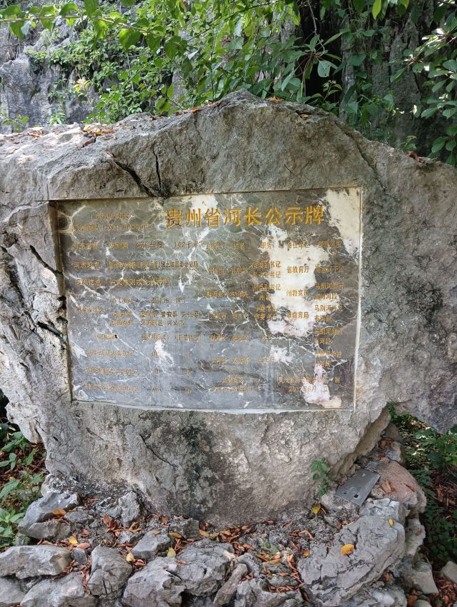 万峰湖红椿船舶旅游乘船区旅行图片 1