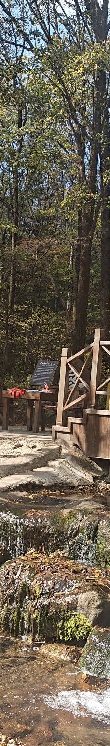 铧子山森林公园-通河-YoYo_0Z9T7U6N