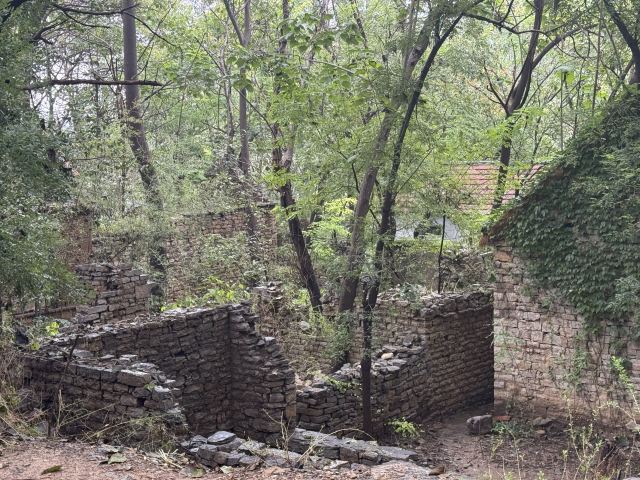 青州井塘古村景区旅行图片 4