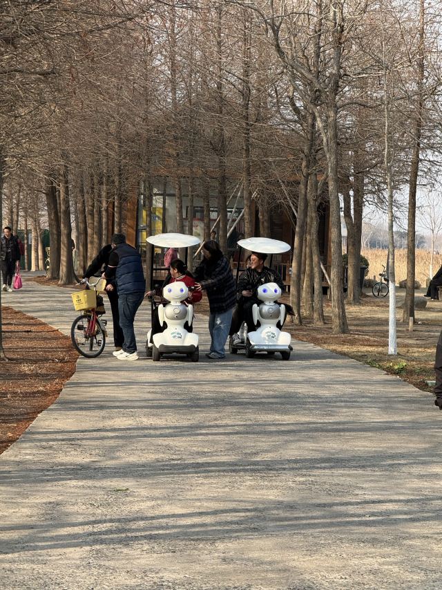 上海东滩湿地公园旅行图片 4