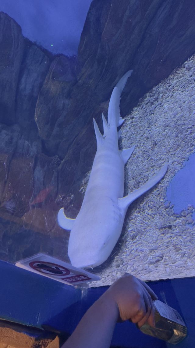 昆明海趣花都海洋世界旅行图片 3