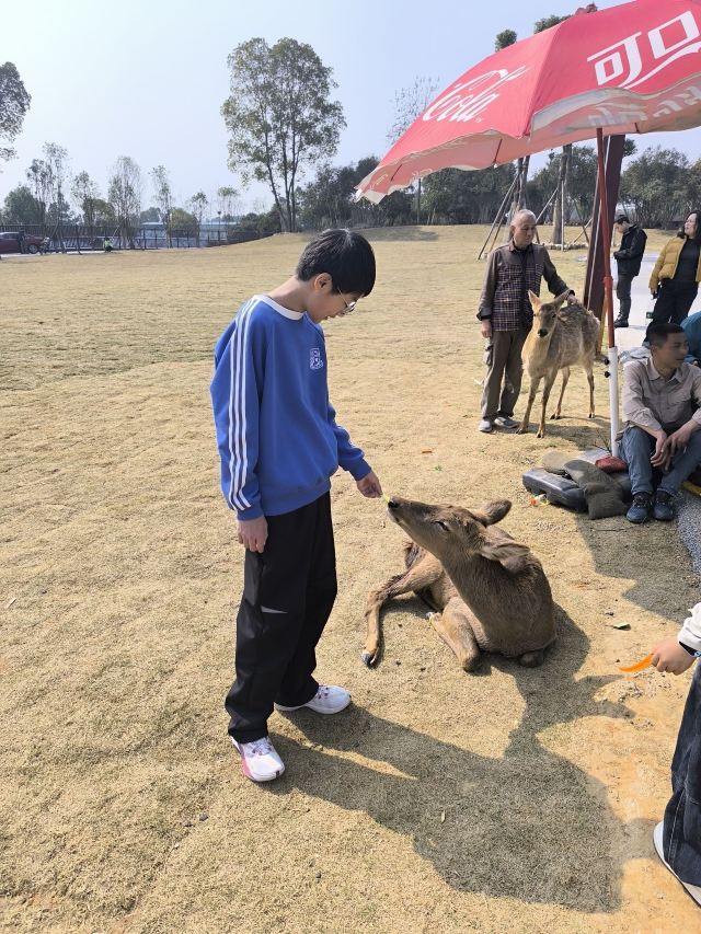 湖南常德野生动物世界旅行图片 3