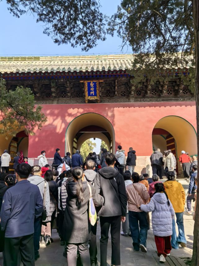 孔庙旅行图片 6