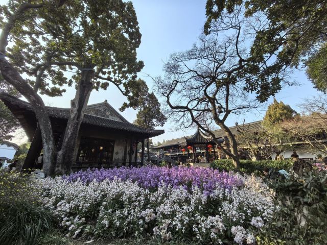 个园旅行图片 6
