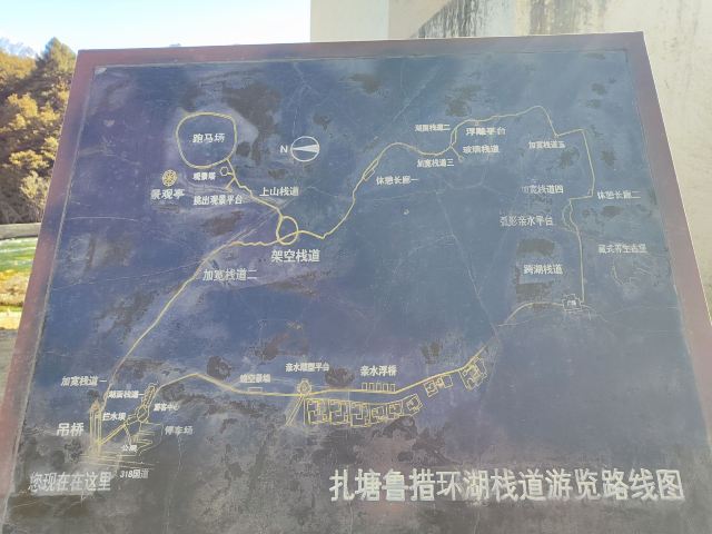 鲁朗林海风景区旅行图片 5