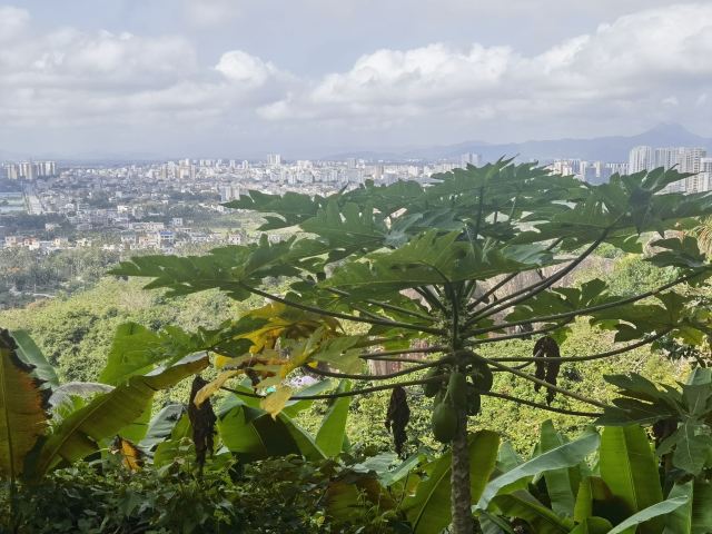 东山岭旅行图片 3