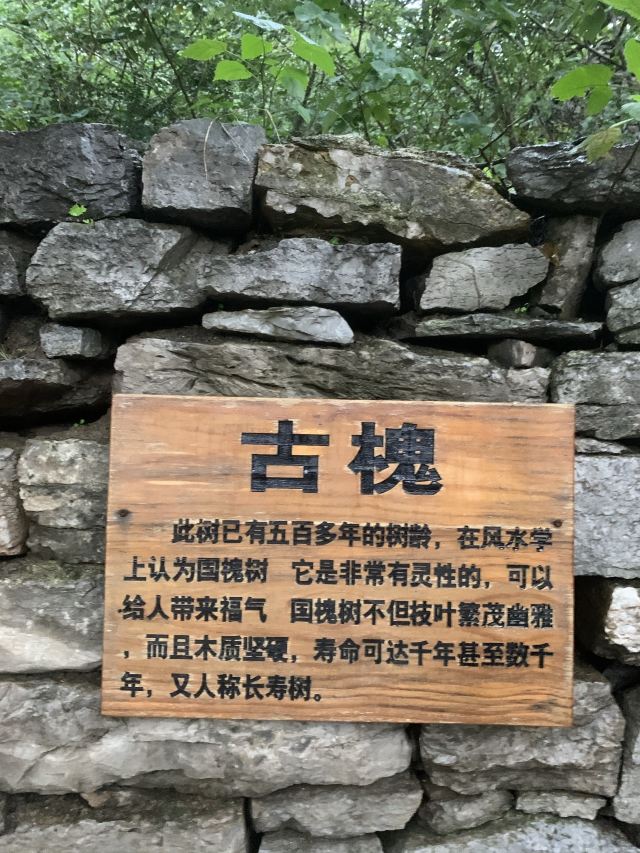 青州井塘古村景区旅行图片 7