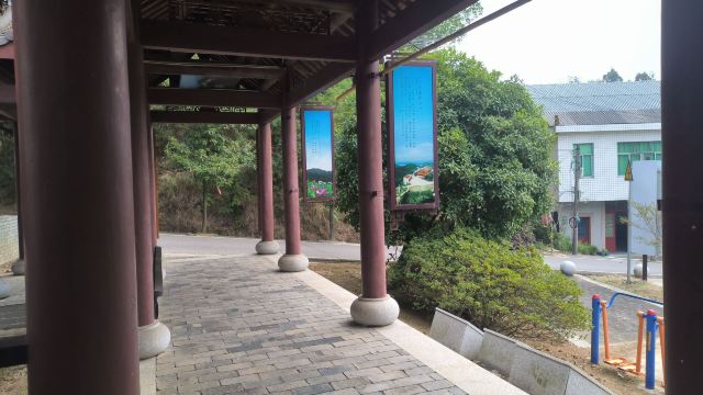 长沙黑麋峰森林公园旅行图片 2