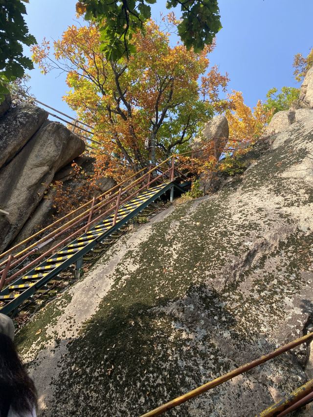 朱雀山国家森林公园旅行图片 5