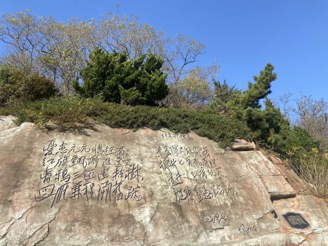 棒棰岛旅行图片 4