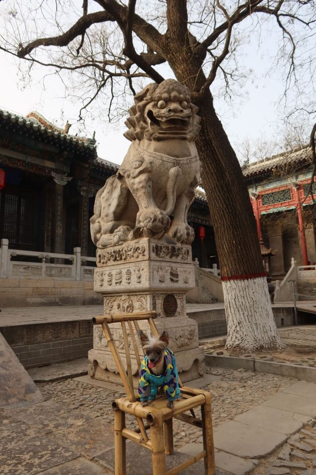 山陕会馆旅行图片 2