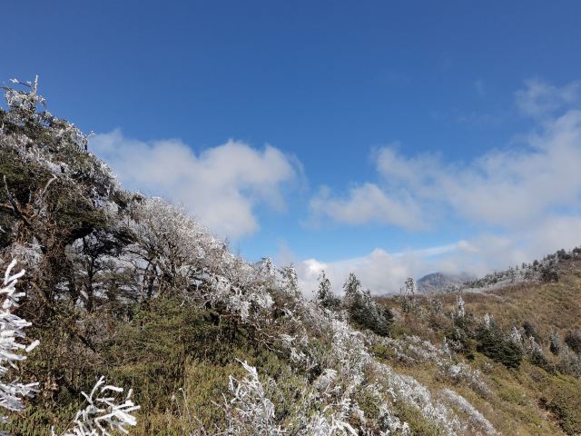 王岗坪旅游景区-露营区旅行图片 3