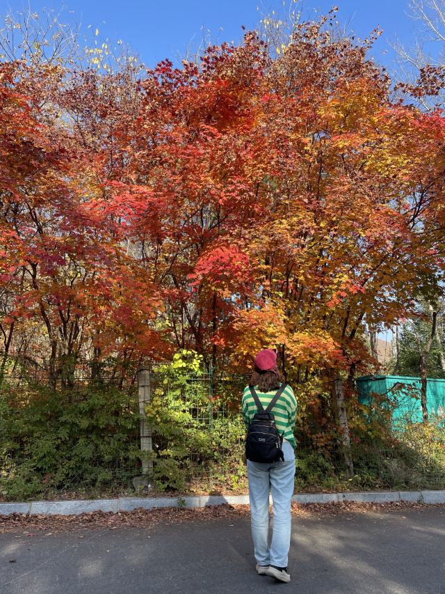 本溪市青云山风景区(暂停开放)旅行图片 8