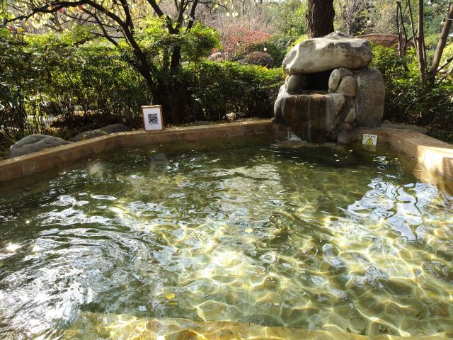 西安临潼悦椿温泉旅行图片 2