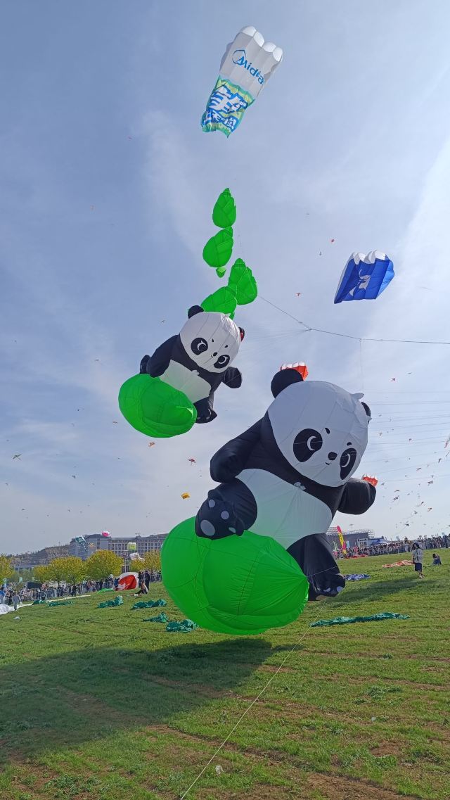 世界风筝公园旅行图片 9