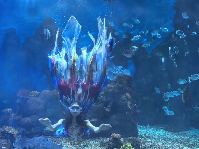 广汉海昌海洋探索馆旅行图片 2