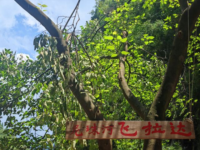 尼珠河大峡谷生态文化旅游区旅行图片 1