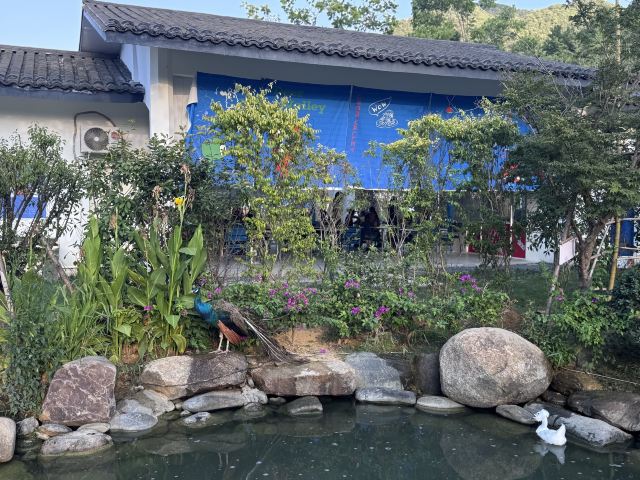鹿鸣谷景区旅行图片 4