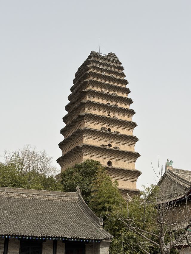 西安博物院旅行图片 3