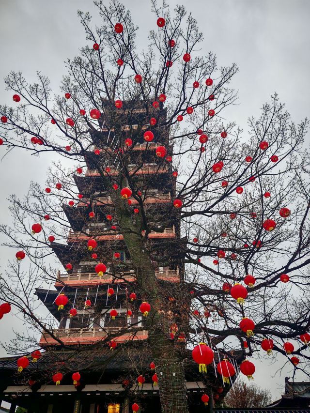 扬州大运河文化旅游度假区·大明寺旅行图片 1