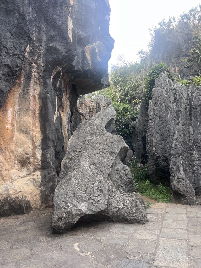 石林风景区旅行图片 3