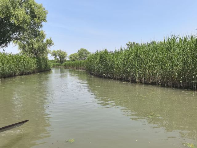 大纵湖旅游度假区旅行图片 1