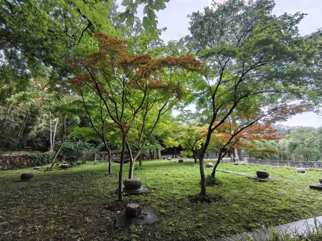 南山风景区旅行图片 4