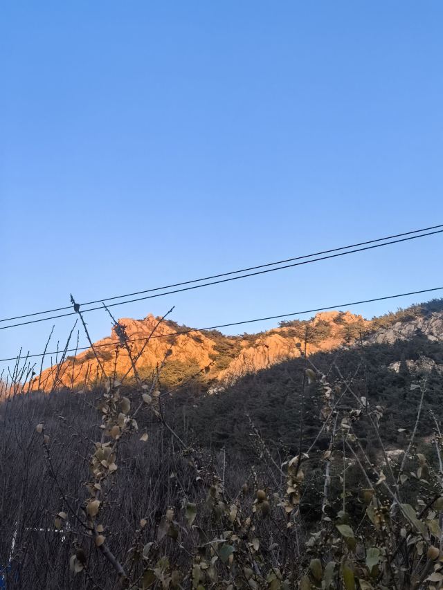 青岛珠山国家森林公园旅行图片
