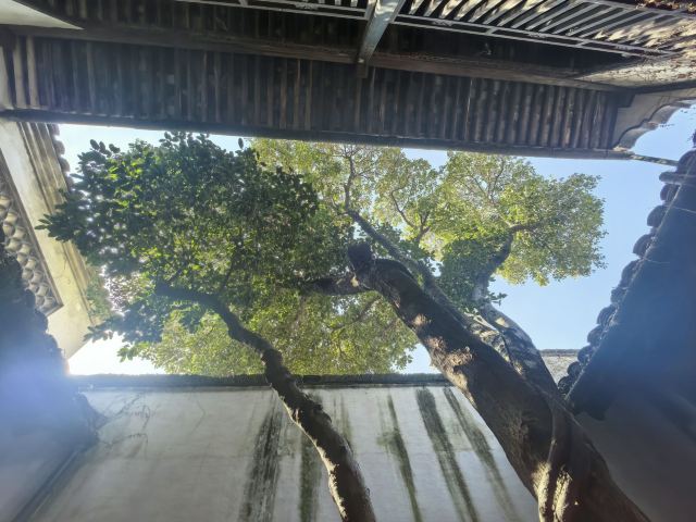 鲁迅故里旅行图片 2